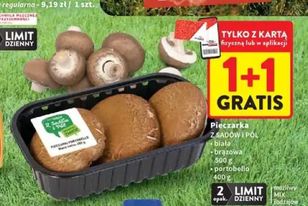 Pieczarka biała Z Sadów i Pól