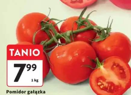 Pomidor gałązka luz