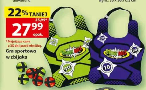 Gra sportowa w zbijaka