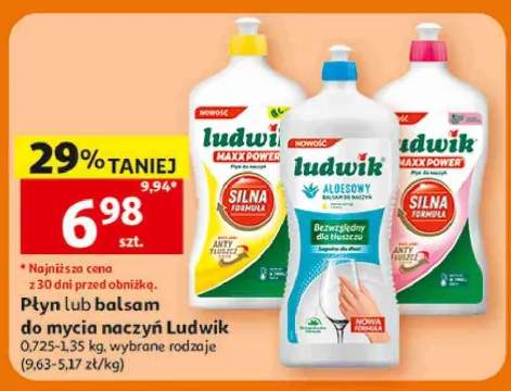 Płyn do mycia naczyń Ludwik Maxx Power