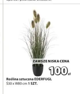 Roślina sztuczna EDERFUGL S30xW80cm