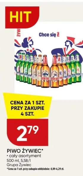 Piwo Żywiec