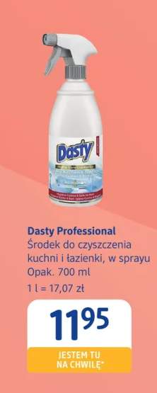 Środek do czyszczenia kuchni Dasty Professional