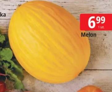 Melon