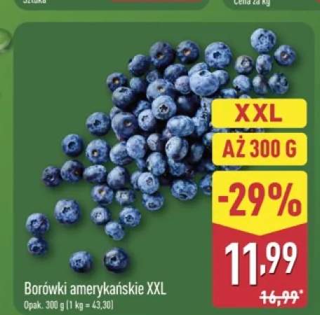 Borówki amerykańskie XXL