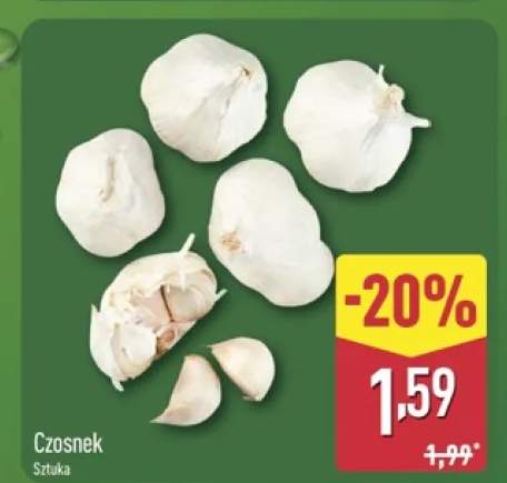 Czosnek