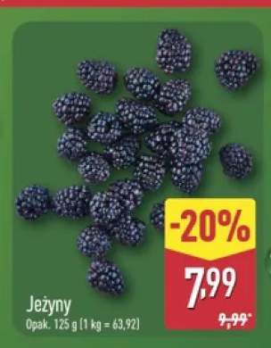 Jeżyny