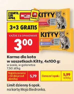 Karma dla kota w saszetkach Kitty w sosie 4-pak 100 g