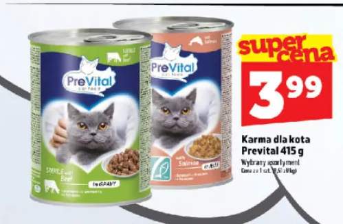 Karma dla kota PreVital z łososiem w galaretce