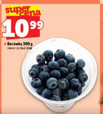 Borówka