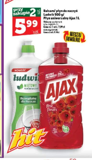 Płyn do naczyń Ludwik