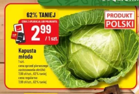 Kapusta młoda polska