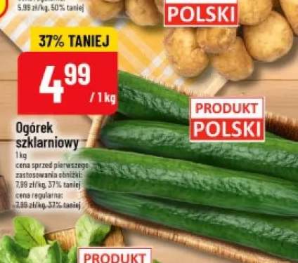 Ogórek szklarniowy polski