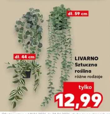Sztuczna roślina Livarno