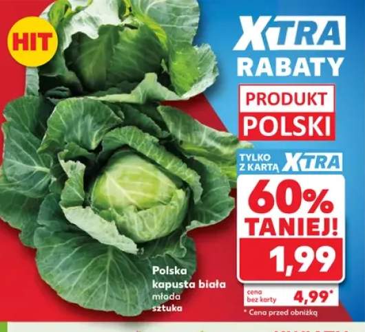 Kapusta biała młoda polska