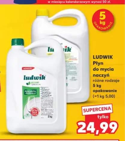 Płyn do mycia naczyń Ludwik