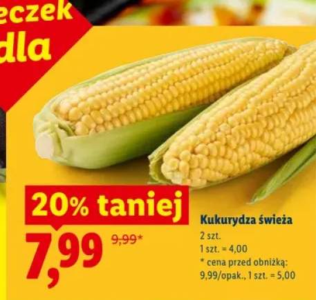 Kukurydza świeża 2-pak