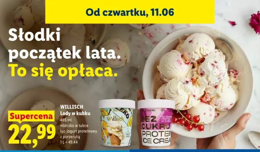 Lody w kubku jogurt proteinowy z porzeczką Willisch