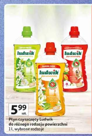 Płyn uniwersalny Baking Soda Pomarańcza Ludwik