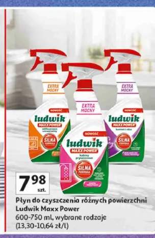 Płyn do czyszczenia kabin prysznicowych Ludwik Maxx Power