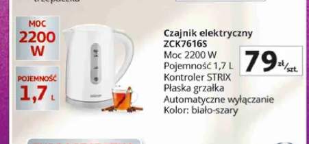 Czajnik elektryczny Zelmer ZCK7616S