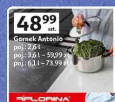 Garnek Antonio Florina 2,6 l