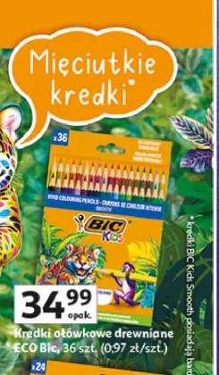 Kredki ołówkowe drewniane BIC Kids ECO Bic