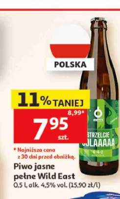 Piwo jasne pełne Wild East