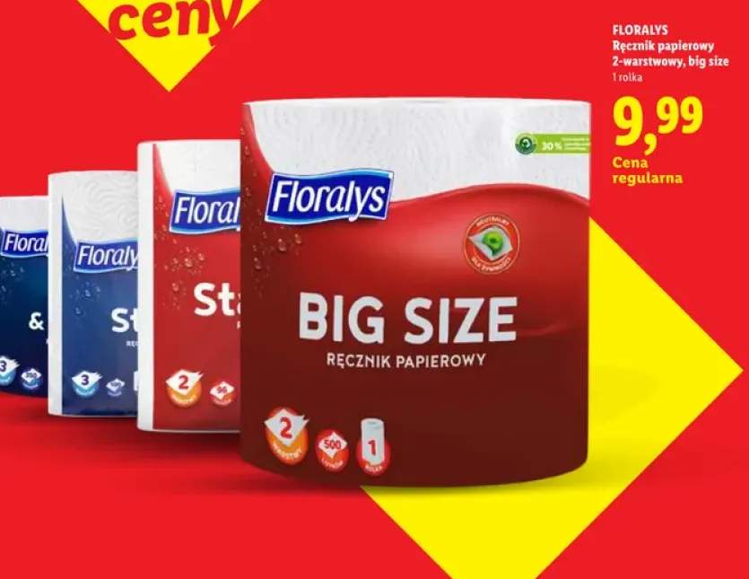 Ręcznik papierowy Floralys 2-warstwowy big size