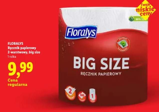 Ręcznik papierowy Floralys 2-warstwowy Big Size