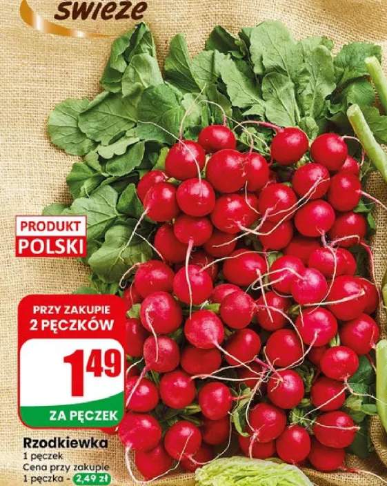 Rzodkiewka polska