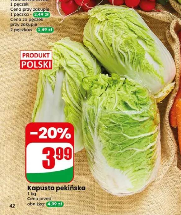 Kapusta pekińska polska
