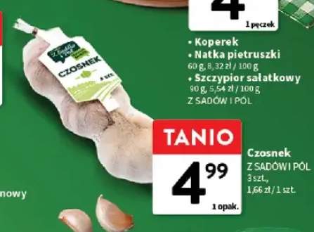 Czosnek Z Sadów i Pól 3-pak