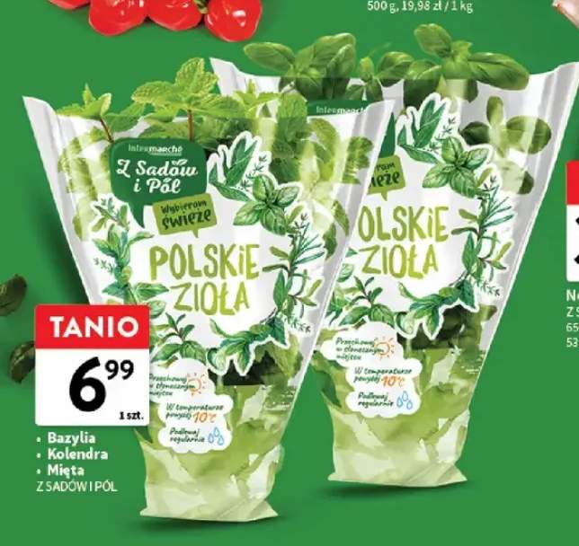 Mięta Z Sadów i Pól