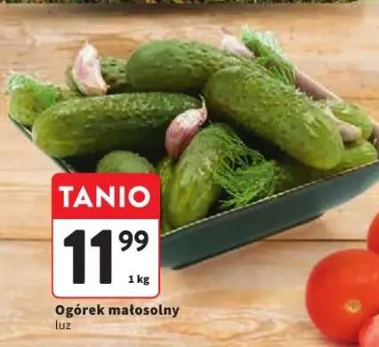 Ogórek małosolny luz