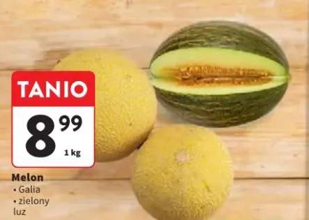 Melon zielony luz