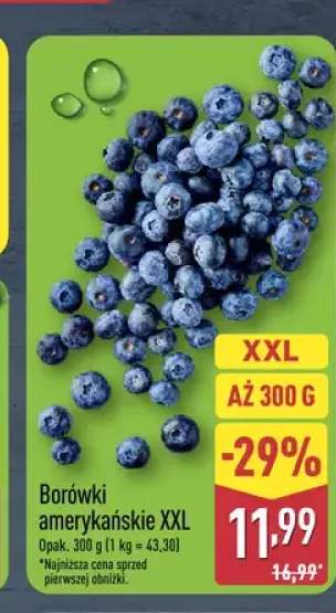Borówki amerykańskie XXL
