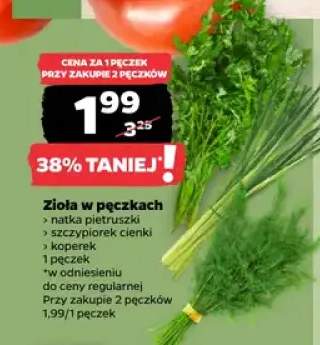 Zioła w pęczkach natka pietruszki