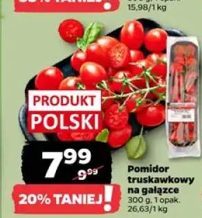Pomidor truskawkowy na gałązce