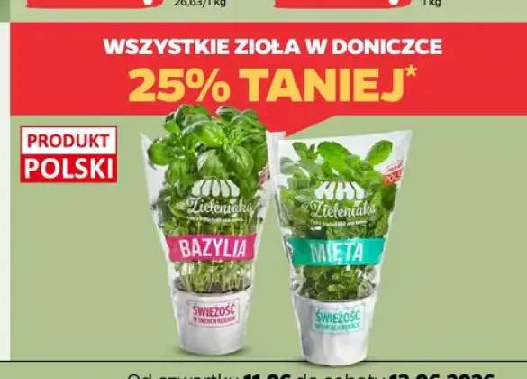 Mięta w doniczce z Zieleniaka