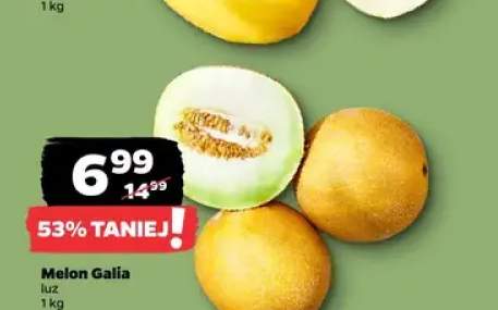 Melon Galia