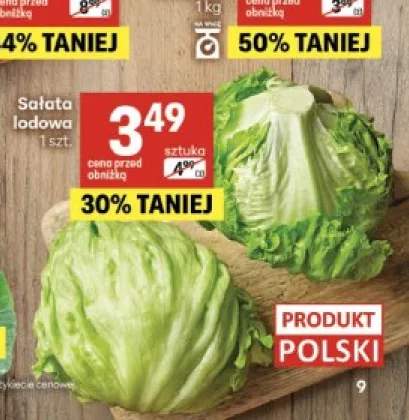 Sałata lodowa polska