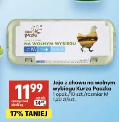 Jaja z chowu na wolnym wybiegu Kurza Paczka rozmiar M