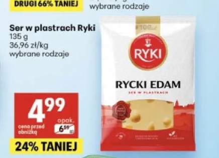 Ser w plastrach Ryki