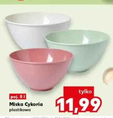 Miska plastikowa Cykoria 5 l