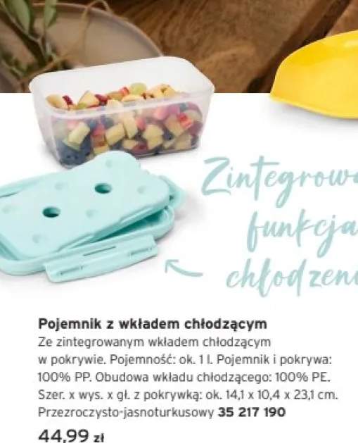 Pojemnik z wkładem chłodzącym