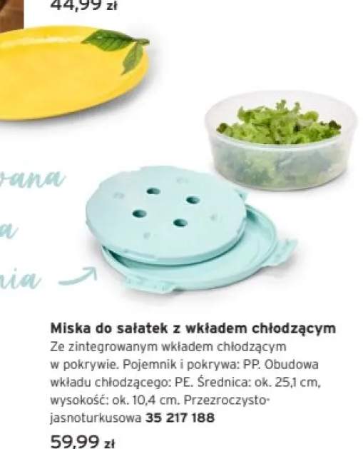 Miska do sałatek z wkładem chłodzącym