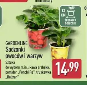 Sadzonki owoców i warzyw GARDENLINE