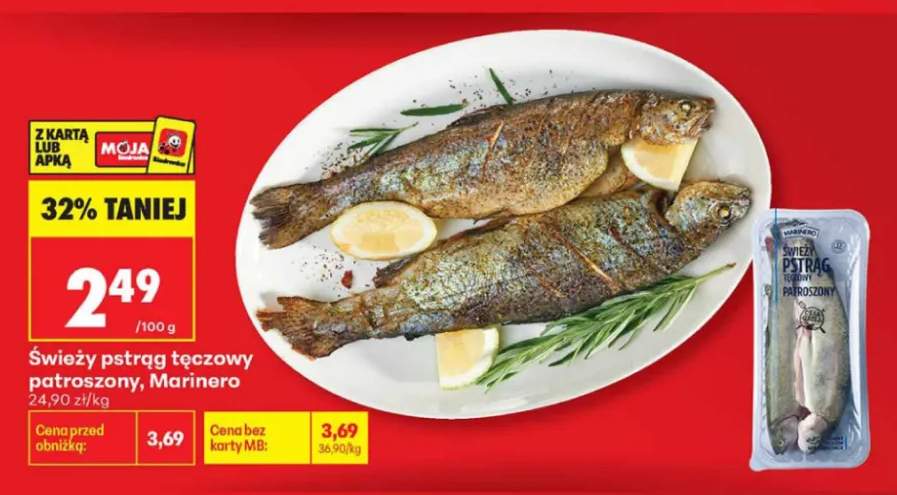 Świeży pstrąg tęczowy patroszony Marinero