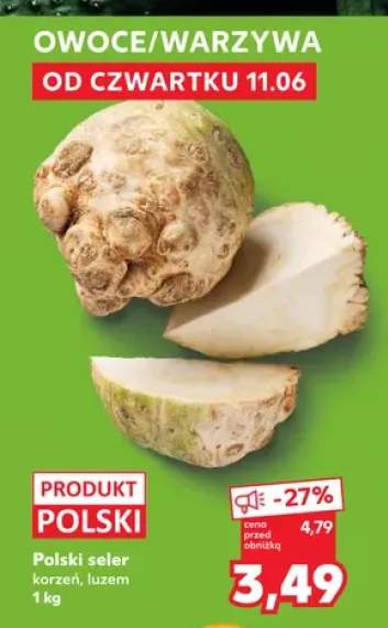 Seler korzeń polski